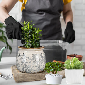 Ninehaoou planter usable as a chic desktop organizer for small items.