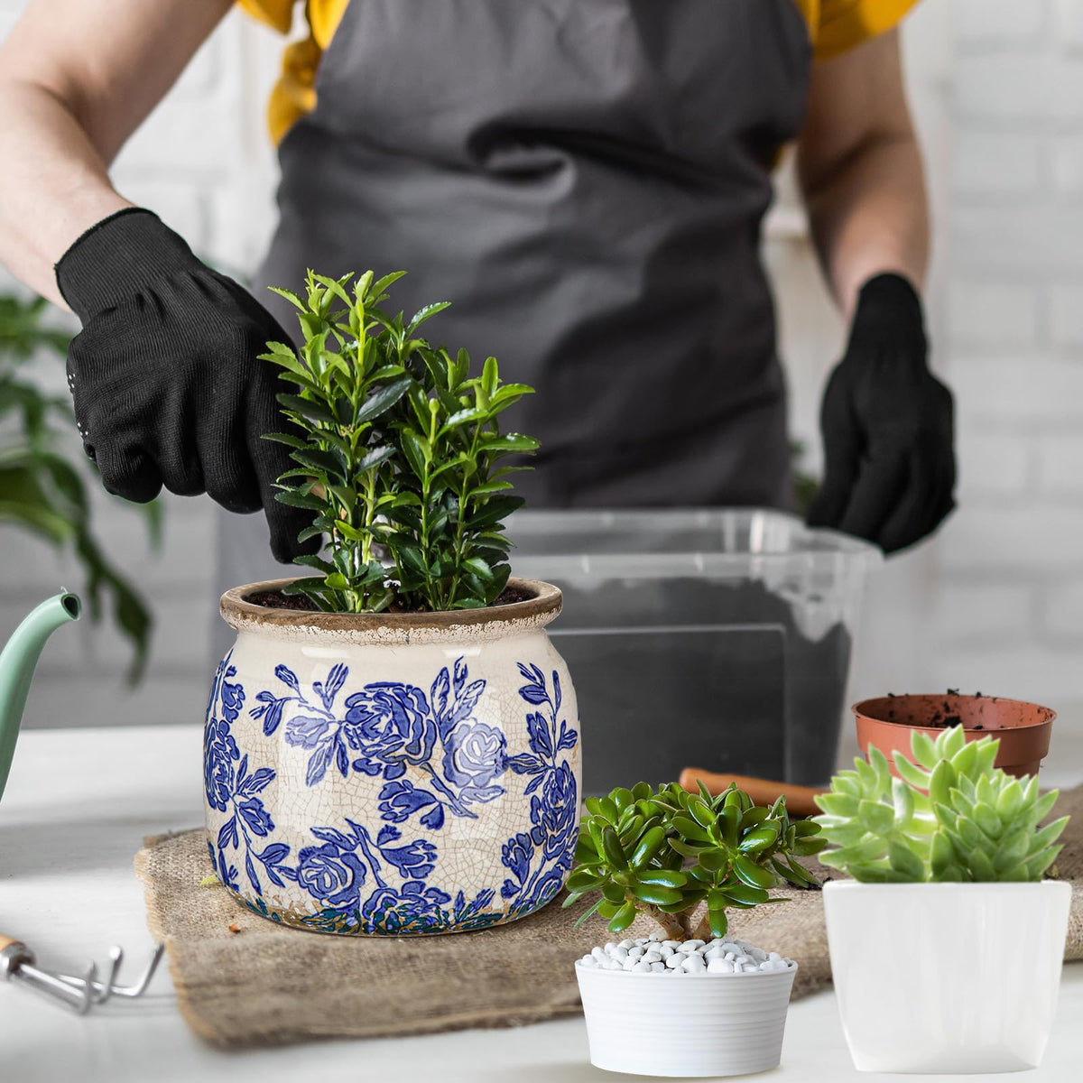 Ninehaoou chinoiserie vase-inspired planter ideal for small succulents.