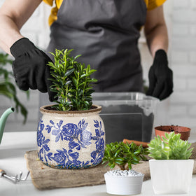 Ninehaoou chinoiserie vase-inspired planter ideal for small succulents.