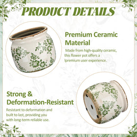 Ninehaoou ceramic planter suitable for indoor or covered outdoor spaces.