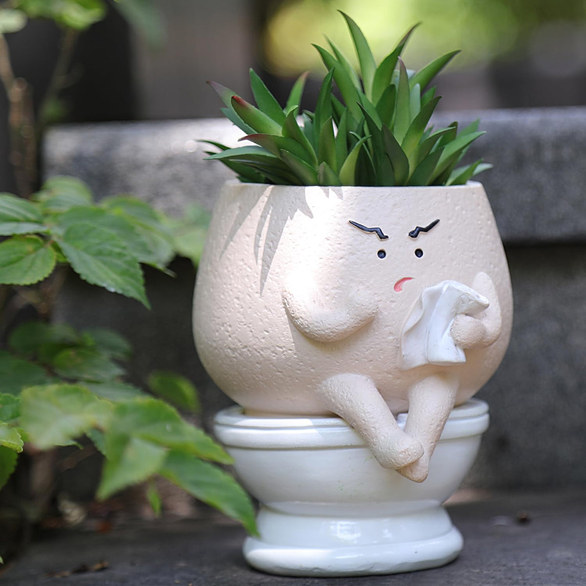 NINIPAPA funny-face toilet planter with drainage hole adds whimsy and proper drainage