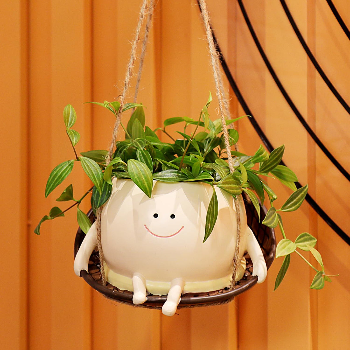 NINIPAPA indoor-outdoor hanging planter enhancing room aesthetics.
