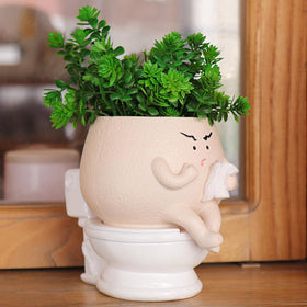 NINIPAPA self-watering face pot keeps small plants hydrated while away