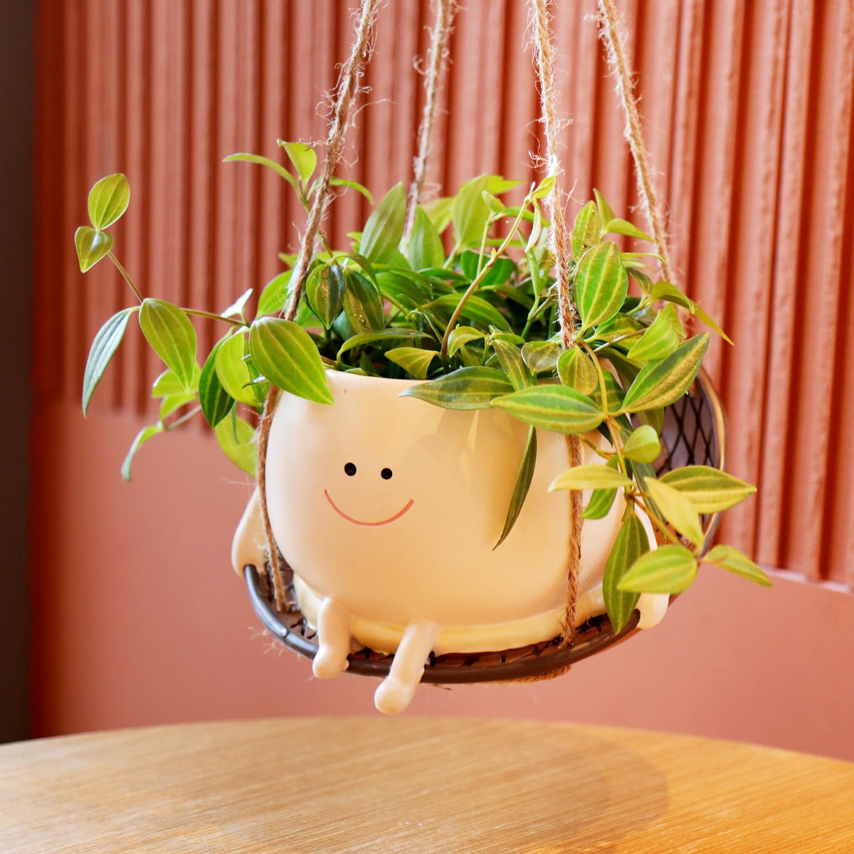 NINIPAPA unique gift planter suitable for plant lovers and collectors.