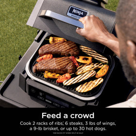 Ninja Woodfire quick start guide helps new users begin