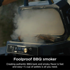 Ninja Woodfire Pro Connect XL woodfire technology in action for authentic aroma