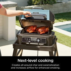 Ninja Woodfire Roast & Smoke Rack shows all-around charring and smoky absorption