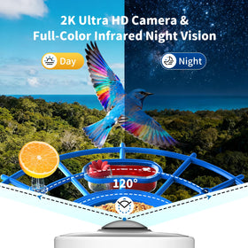 2K video feed from NIORSUN feeder delivers sharp bird details.