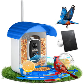 NIORSUN Smart Bird Feeder front view captures birds in real-time.