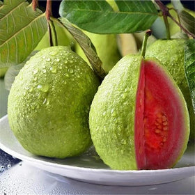 NiRwa salmon-pink guava fruits ideal for fresh eating and desserts
