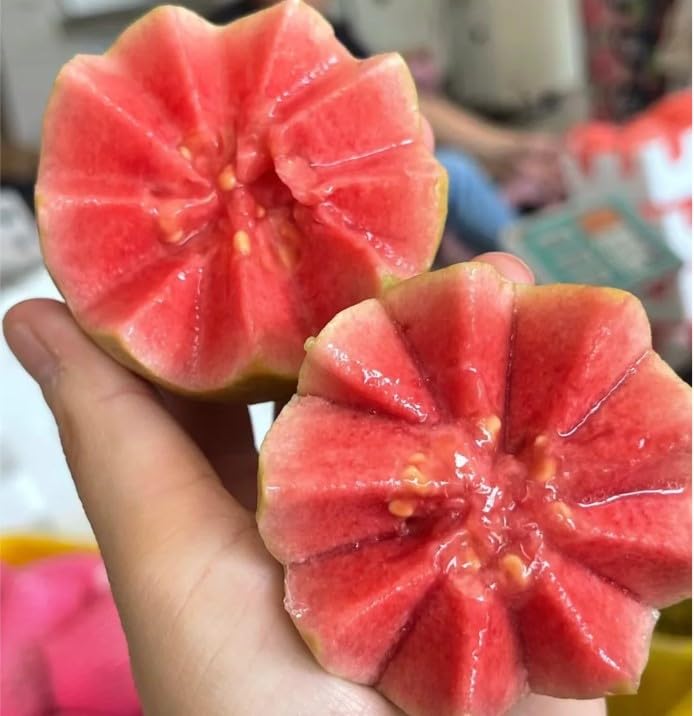 NiRwa self-fruitful guava variety reduces pruning and effort