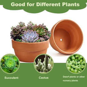 NiSevenLiving breathable terracotta walls support healthy air flow to plant roots