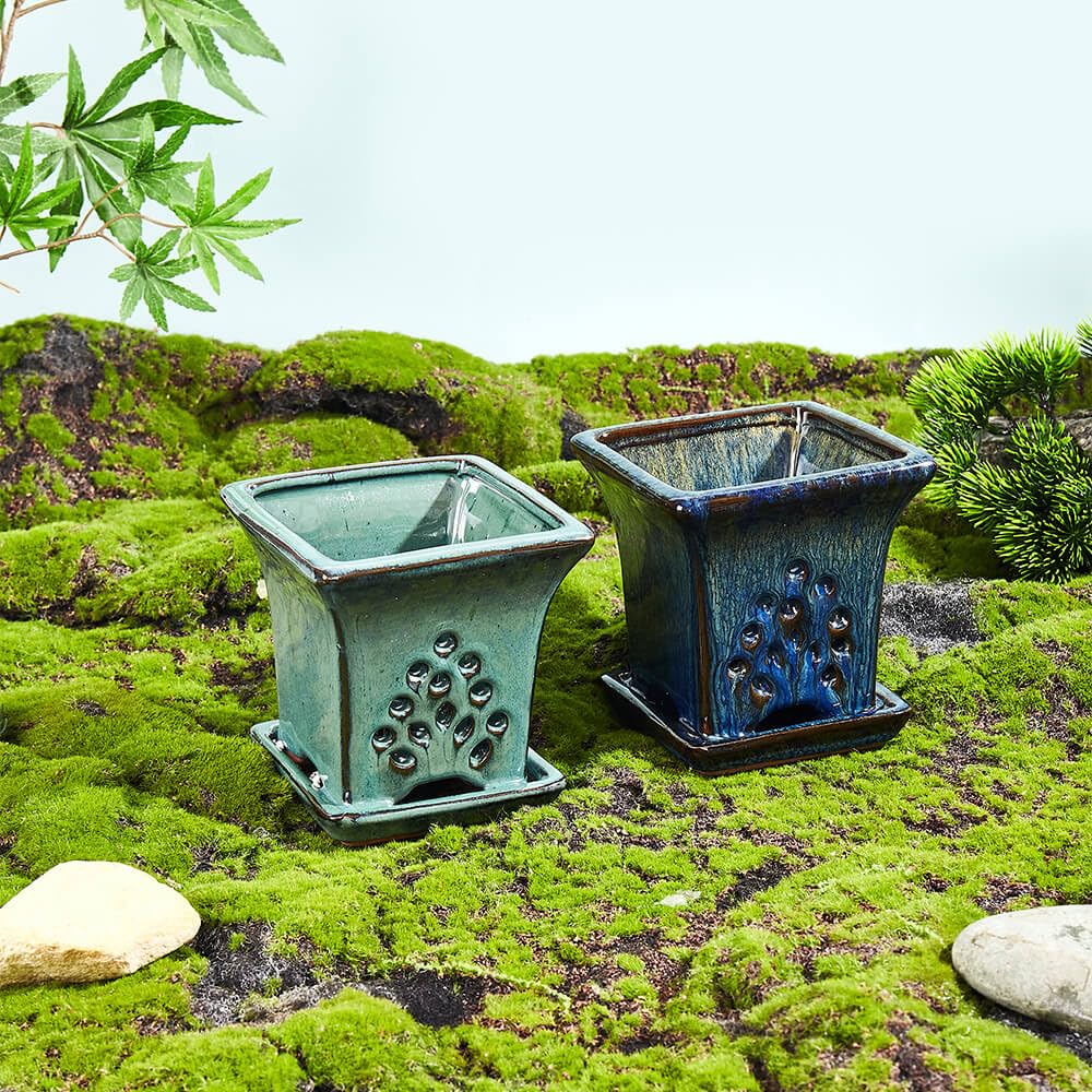 NiSevenLiving versatile indoor and outdoor orchid pot enhances home or garden decor.
