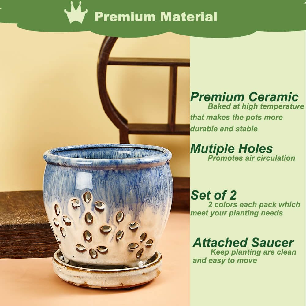 NiSevenLiving blue-purple orchid planter ideal for indoor decoration and easy movement.