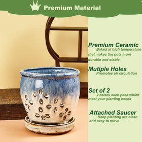 NiSevenLiving blue-purple orchid planter ideal for indoor decoration and easy movement.