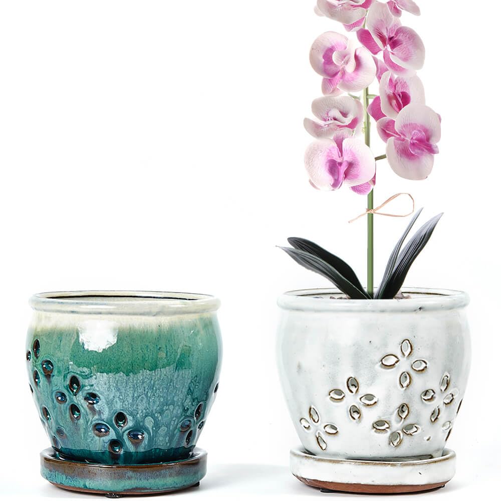 NiSevenLiving orchid pot with holes and attached saucer, two-pack for simple repotting.