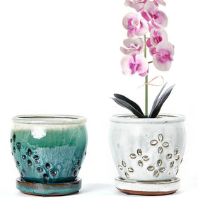 NiSevenLiving orchid pot with holes and attached saucer, two-pack for simple repotting.
