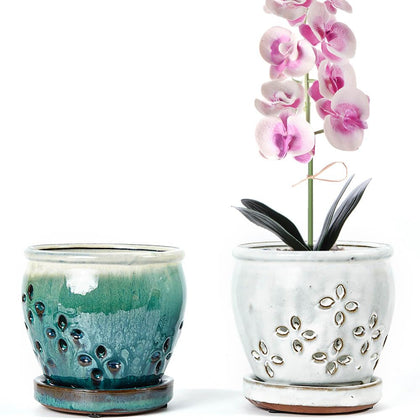 NiSevenLiving orchid pot with holes and attached saucer, two-pack for simple repotting.