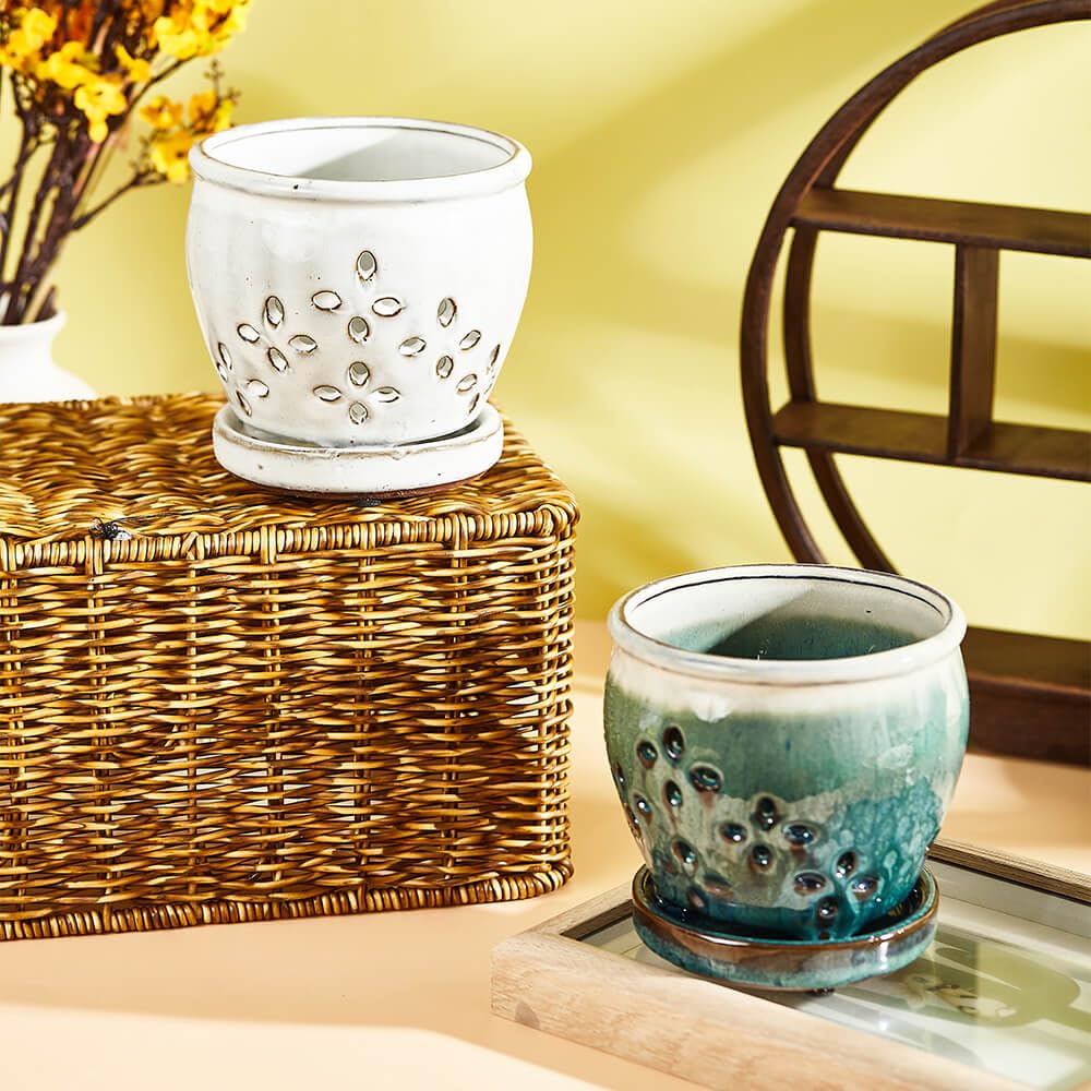 NiSevenLiving two-pack orchid pots offer balanced aesthetics and practicality.