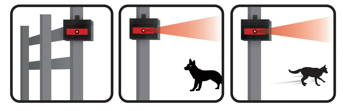 Nite Guard Solar NG-001 night glow acts as a deterrent cue