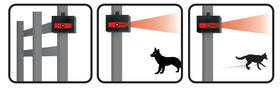 Nite Guard Solar NG-001 night glow acts as a deterrent cue