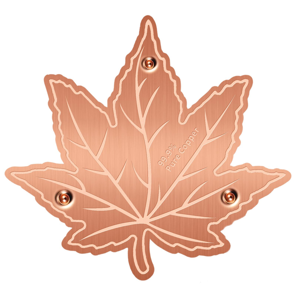 Niteguy copper disk purifies outdoor bird bath water for clearer baths