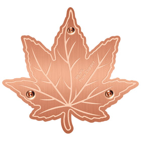 Niteguy copper disk purifies outdoor bird bath water for clearer baths