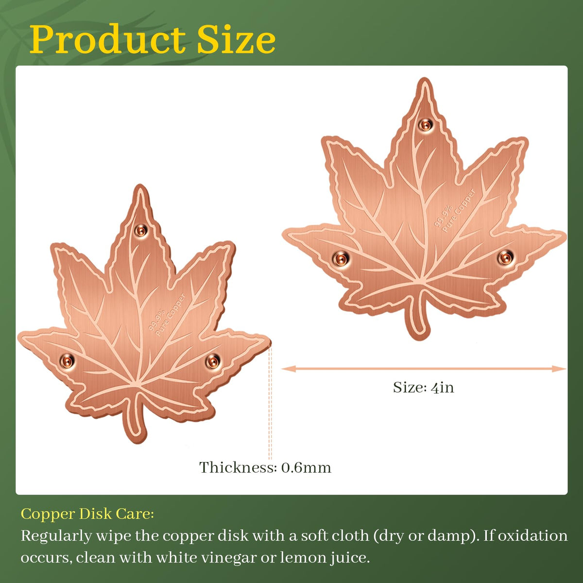 Niteguy maple leaf style disk enhances outdoor baths