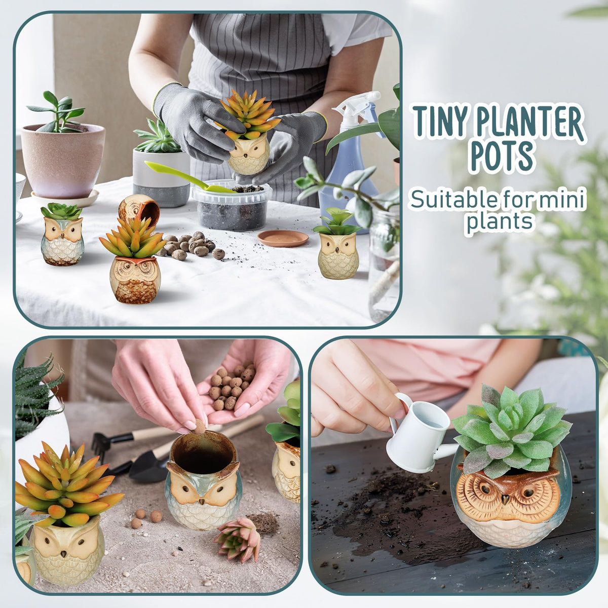 Nitial compact desk display with owl pots adds greenery to your workspace.