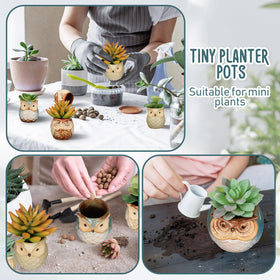 Nitial compact desk display with owl pots adds greenery to your workspace.