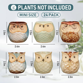 Nitial owl ceramic pot (2.5x2.4in) supports small plants with drainage.