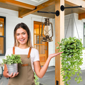 Niuyhe assembled wall display example with multiple plants and decor