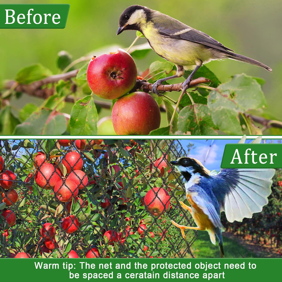 Niuyhe blueberry bush protection netting shields berries from birds