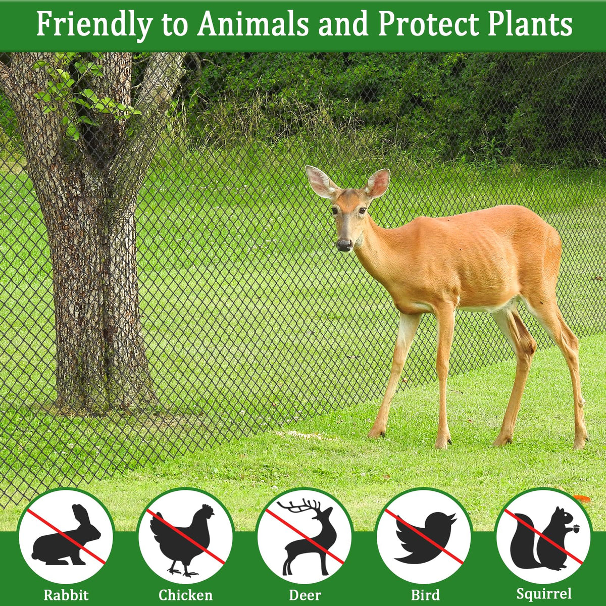 Niuyhe poultry and pest net reduces access for deer rabbits and cats