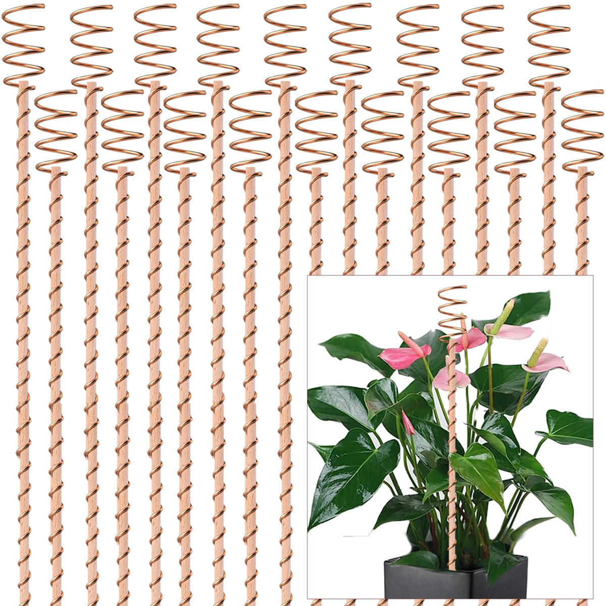 NizHome 18-pack electroculture stakes with copper antennas boosting plant growth.
