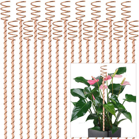 NizHome 18-pack electroculture stakes with copper antennas boosting plant growth.