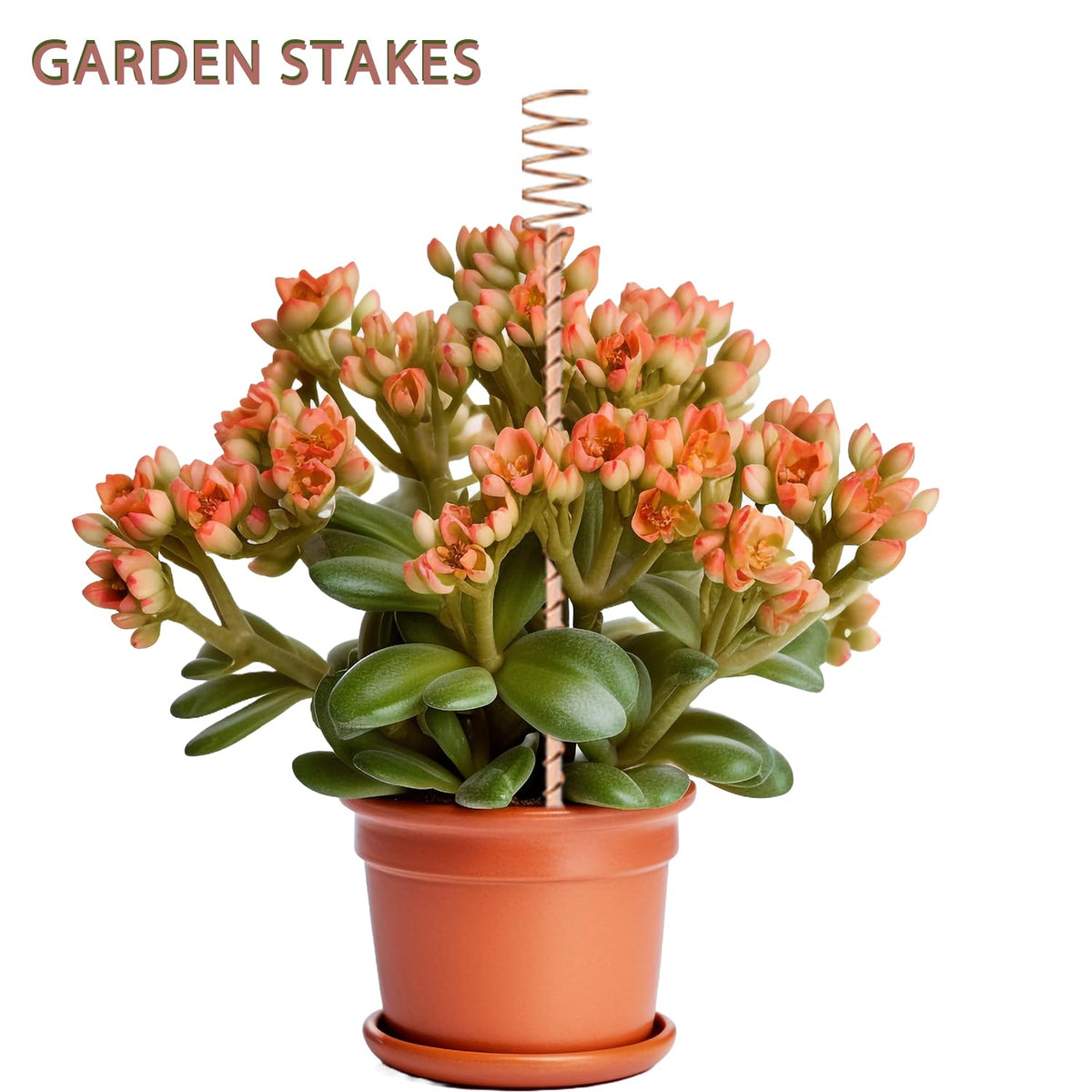 NizHome durable copper stakes provide long-lasting performance in outdoor gardens.