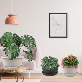 NNARRE easy-grip edges help reposition pots on desks or balconies.