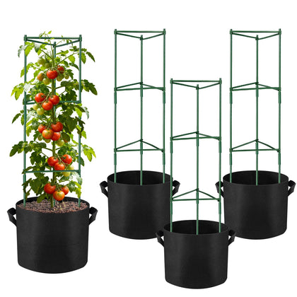 NNG 6-pack tomato cages 48 inches providing sturdy vertical support for vines.
