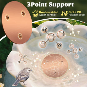 NNG bird bath copper disk all-season use supports year-round outdoor water quality