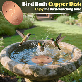NNG bird bath copper disk shimmering surface attracts birds to clean water