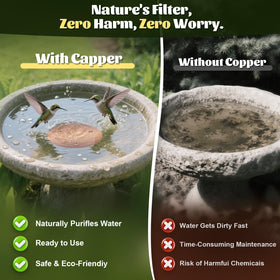 NNG bird bath copper disk purifies water naturally for cleaner, safer bird drinking bowls