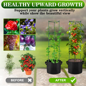 NNG easy-assembly tomato cage designed for one-person setup.