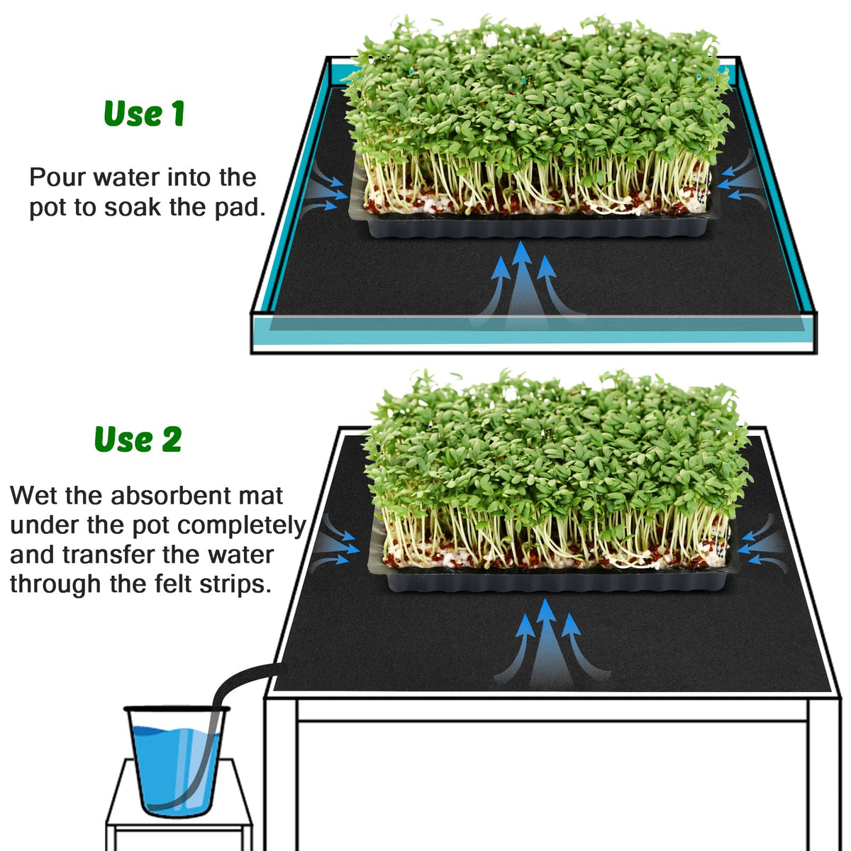 NNG hydroponics indoors use demonstrates versatile moisture delivery