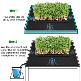 NNG hydroponics indoors use demonstrates versatile moisture delivery