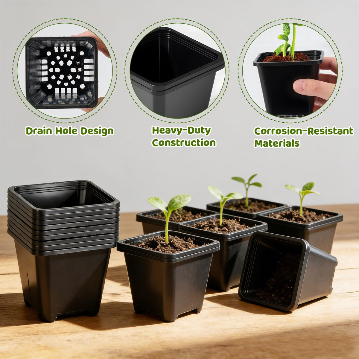NNG propagation starter kit ideal for small plants and cuttings indoors