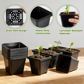 NNG propagation starter kit ideal for small plants and cuttings indoors