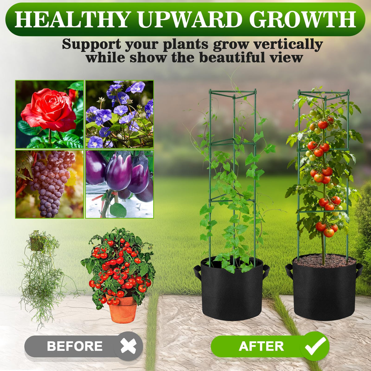 NNG wind-stable tomato cage helps plants stay upright during gusts.