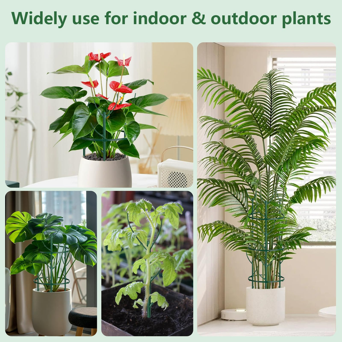 NNIANXING 12-pack stakes suit tomatoes, monstera, peonies, hydrangeas.