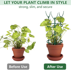 NNIANXING garden supports guide growth and prevent sprawling vines.